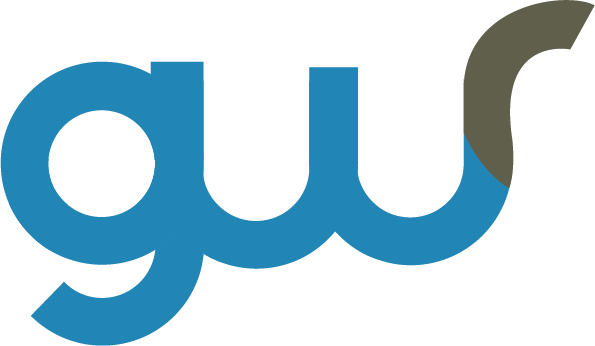 GWS Engenharia